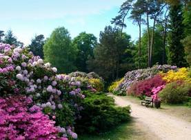Graal-Müritz Rhododendronpark